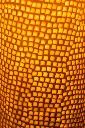 Lampe en porcelaine de Sophie Roca 40.webp