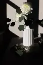 Vase en porcelaine de Sophie Roca 112.webp