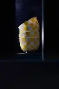 Bols en porcelaine de Sophie Roca 92.webp